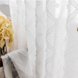 Delicate Transparante...